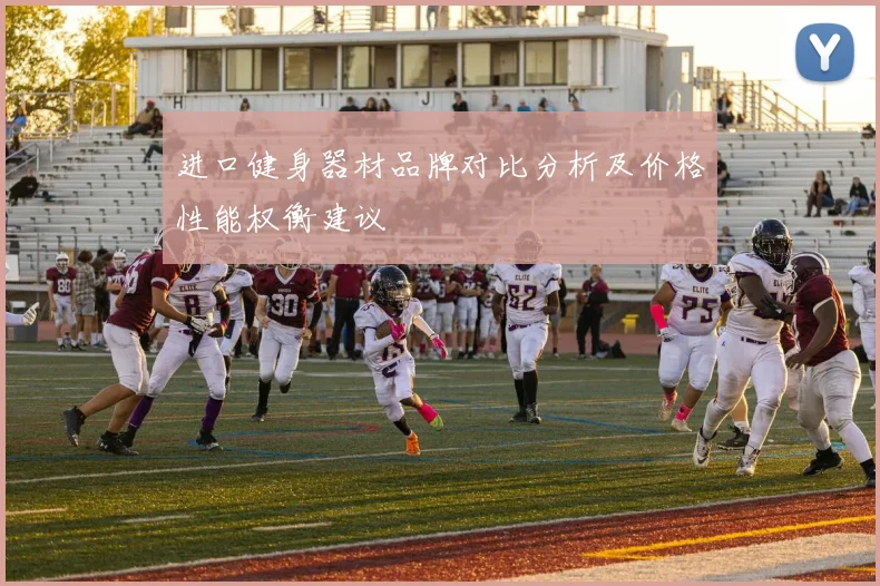 进口健身器材品牌对比分析及价格性能权衡建议