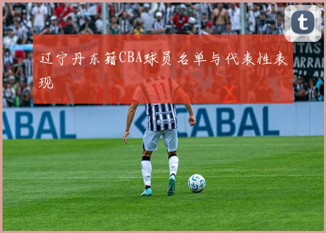 辽宁丹东籍CBA球员名单与代表性表现