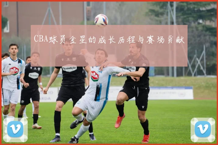 CBA球员金星的成长历程与赛场贡献